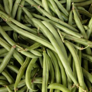 Abundant fresh green beans in a pile, capturing vibrant colors and natural texture.